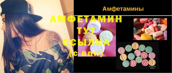 молекула духа Алексин