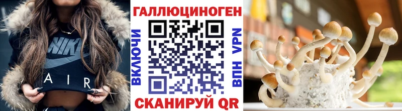 Псилоцибиновые грибы Psilocybe  Бологое 