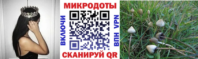 Галлюциногенные грибы мицелий Бологое